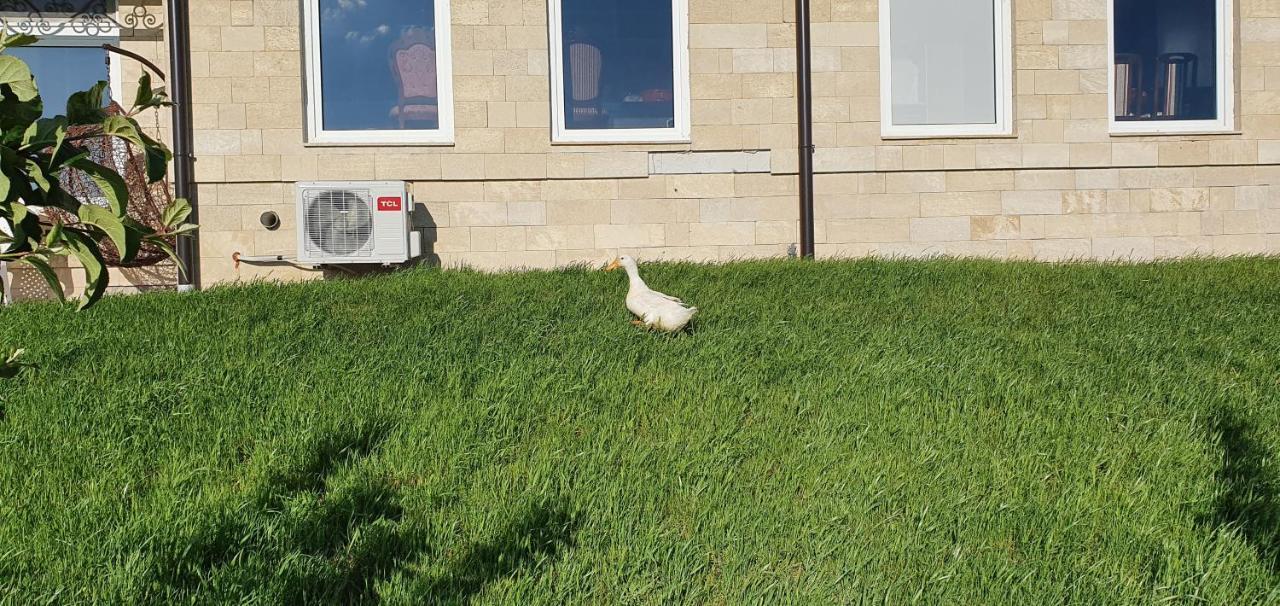 Apartmani Bojeresku Negotin Exterior foto